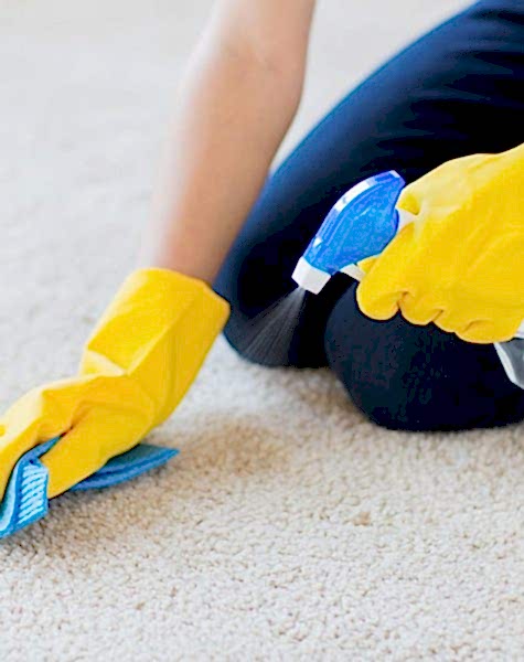 halı leke çıkarma