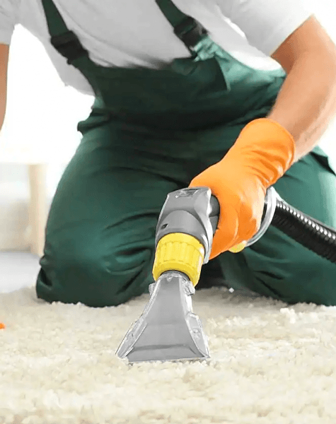 sagghy halı yıkama